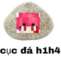 H1H4