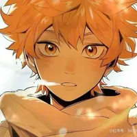 Hinata Shoyo - ( thế giới cũ )