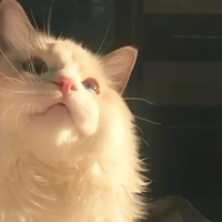 milo