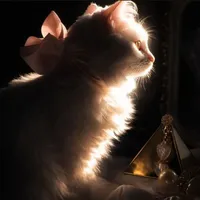 𝐇ệ 𝐓𝐡ố𝐧𝐠 (𝐌𝐢𝐫𝐚)