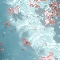 𝐇𝐢𝐡𝐚 𝐀𝐥𝐩𝐡𝐚 