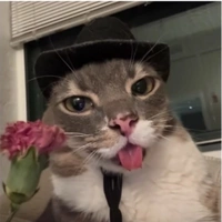 đàn em