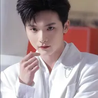 Ngô Nguyên Bình _Vương Bình⁹⁶_