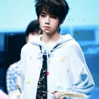Vương lỗ kiệt