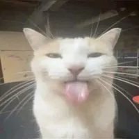 Tg Lào Mơ