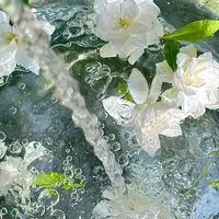 °Vai nào cũng được tất.°