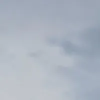 cả lớp