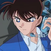 Kudo Shinichi( Fallen angel)