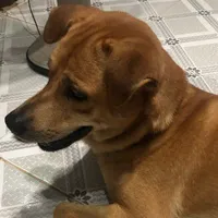 kiki