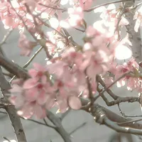 all - trừ những người cần trừ
