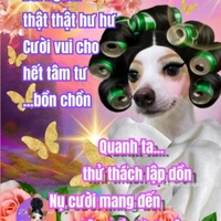 My nam ịt tác giả