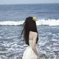 Tô Khải Thư