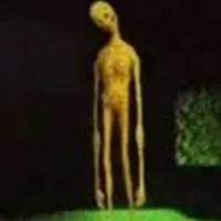 verity (chó điên)