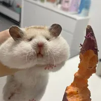 chút chít chút