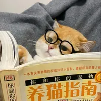Mèo không học