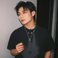 hữu sơn ( swan)