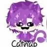 catnap