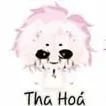 tha hóa