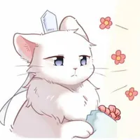 Mèo