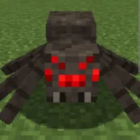 spider