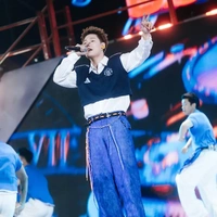 dương domic