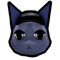 Security(Tsundere🤑💔)