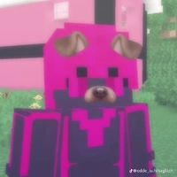 🖤𝐻𝑖𝒉𝑎_𝐵𝑎̣𝑖 𝐻𝑜𝑎̣𝑖🩷