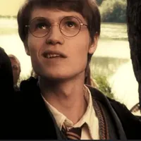 James Potter