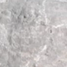 L.