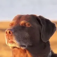 Is Humannn>▽<!!!{bị tăng động lâu năm}