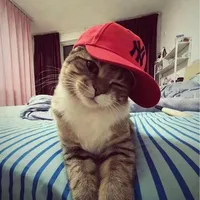 T/g