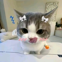 hệ thống_1292