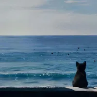 ALL