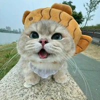 Tác giả là tớ