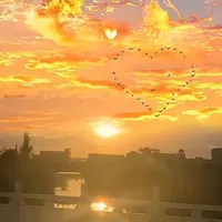t/g