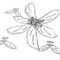Tôi