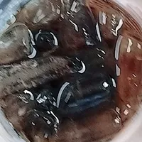 t/g