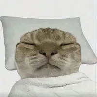 tác giả cuto