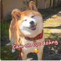 Miee