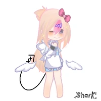 Shindy