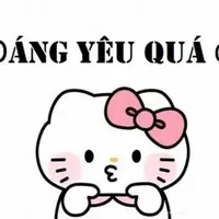 đọc giả yêu quý