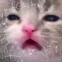 Hệ thống khùng