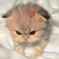 t/g_Jun nhỏ khả ái(„• ֊ •„)