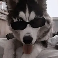 Ngáo