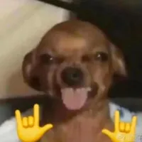 t/g ngầu lòi híp hốp