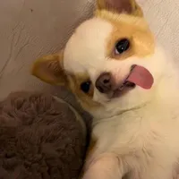 Khả Vy✨