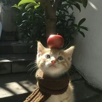 Măng⭐️