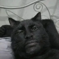 ?
