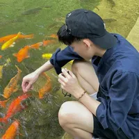 Hoàng Đức Huy - Kaito