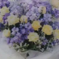 Đa nhân vật 